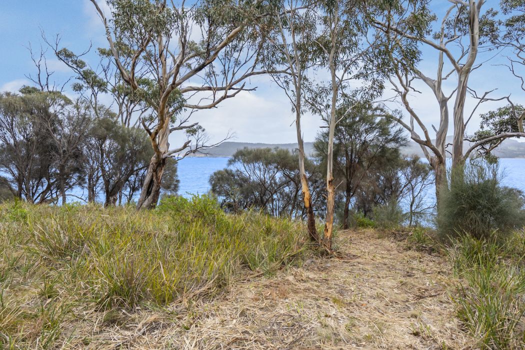518 White Beach Road, White Beach, TAS, 7184