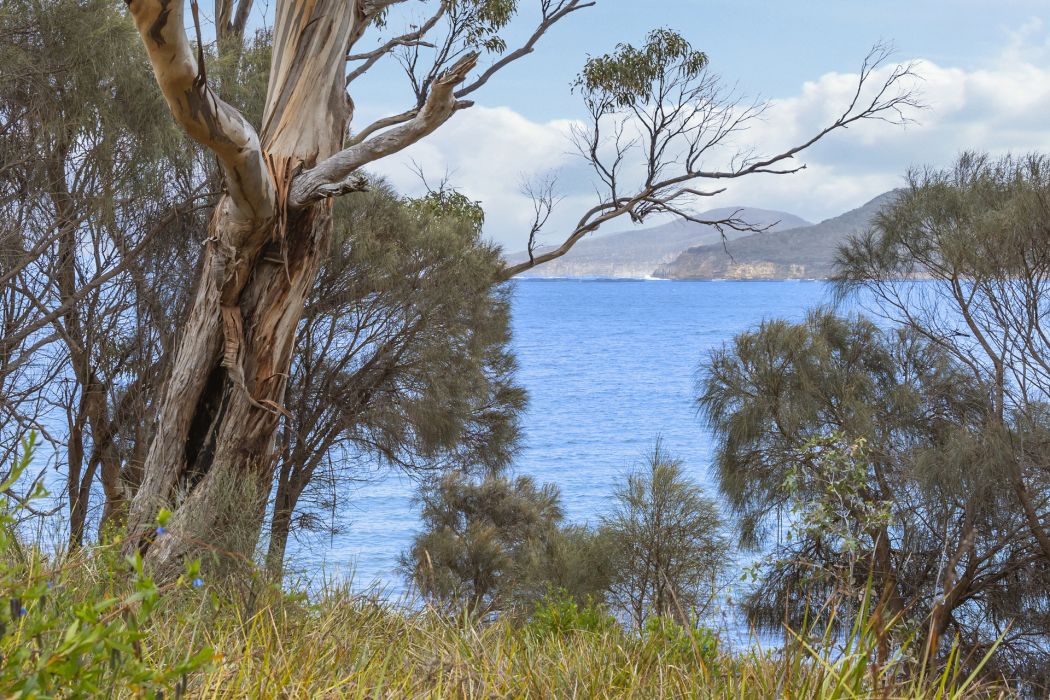 518 White Beach Road, White Beach, TAS, 7184