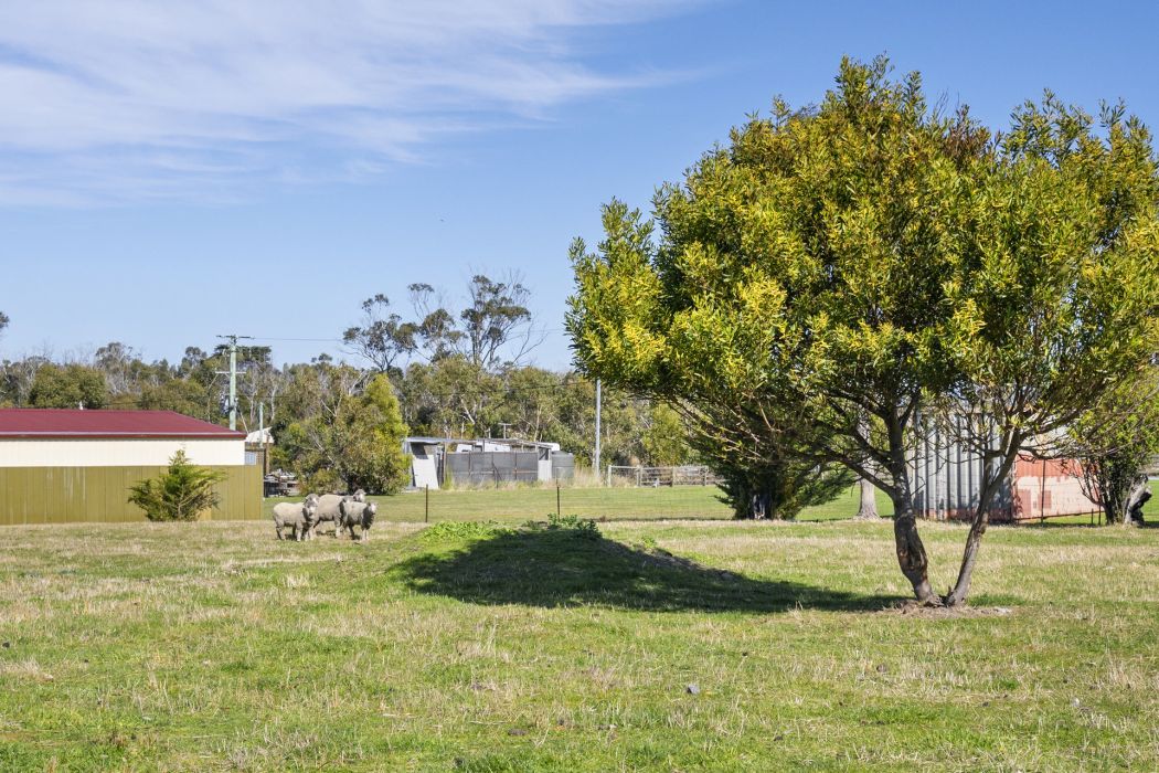 6 Franklin Street, Dunalley, TAS, 7177