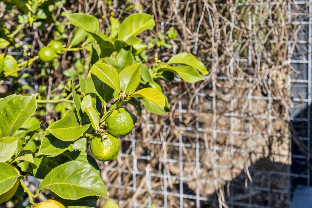 107 Pennington Drive, Sorell, TAS, 7172