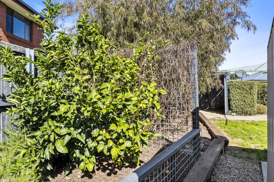 107 Pennington Drive, Sorell, TAS, 7172
