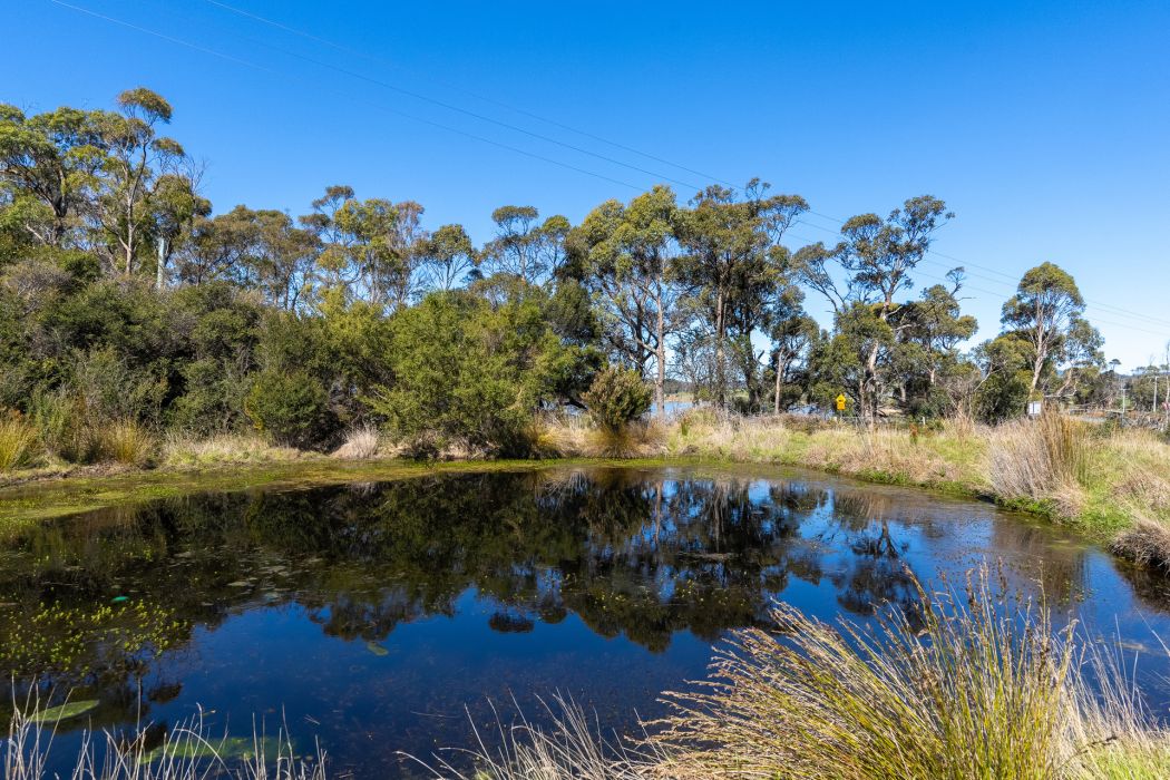 7 Coal Mine Road, Saltwater River, TAS, 7186