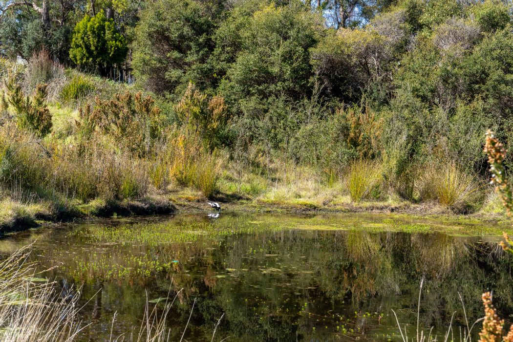 7 Coal Mine Road, Saltwater River, TAS, 7186