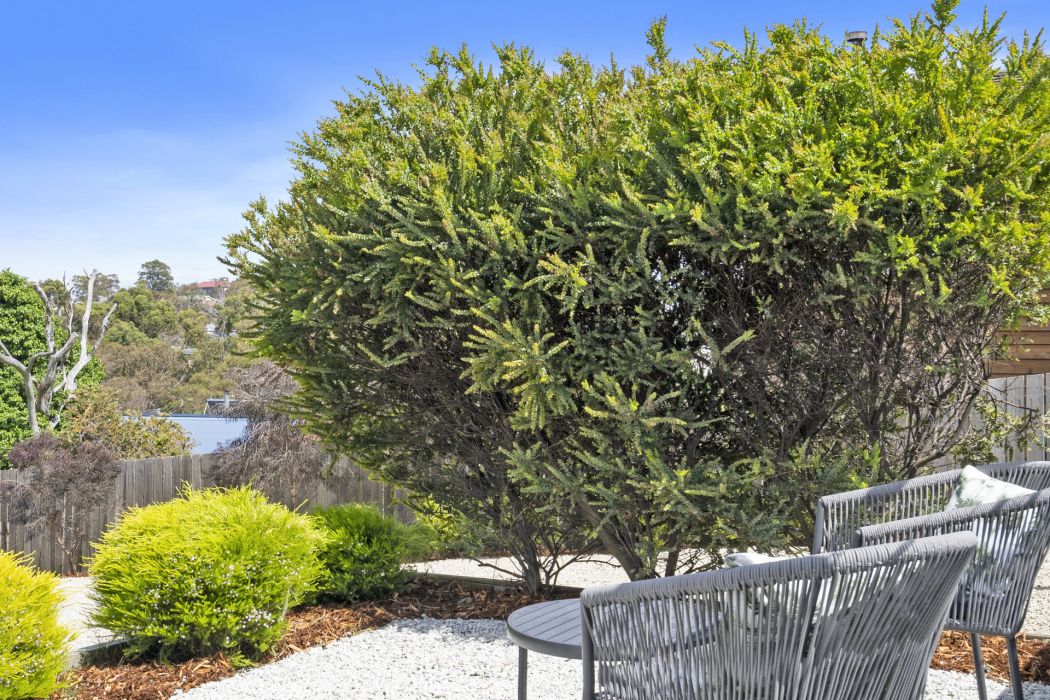 58 Ridge Road, Dodges Ferry, TAS, 7173