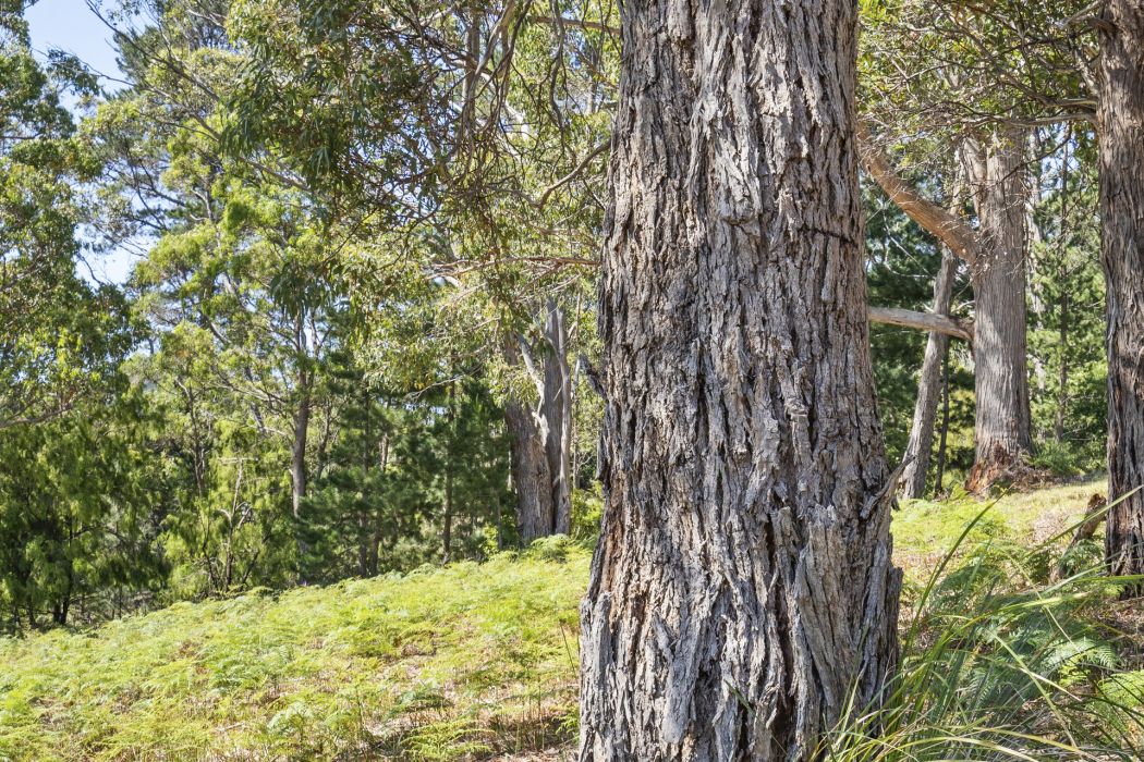 7 Turvey Avenue, Nubeena, TAS, 7184