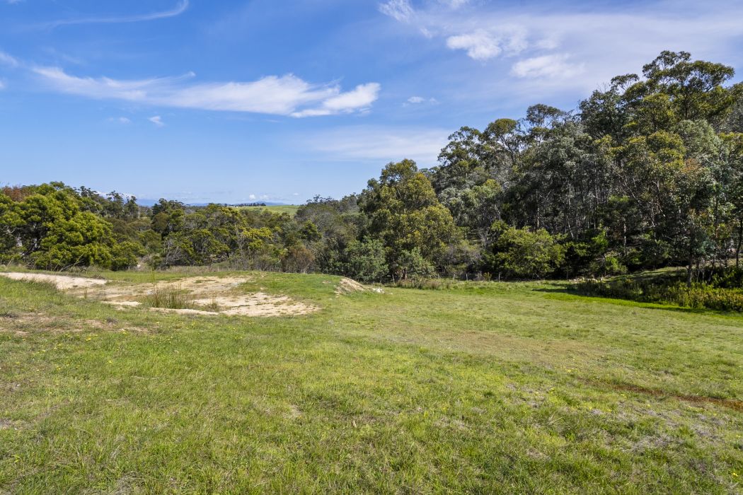 17 Topley Drive, Forcett, TAS, 7173