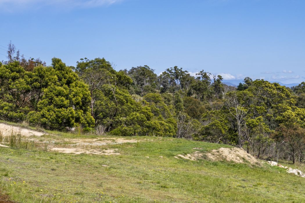 17 Topley Drive, Forcett, TAS, 7173