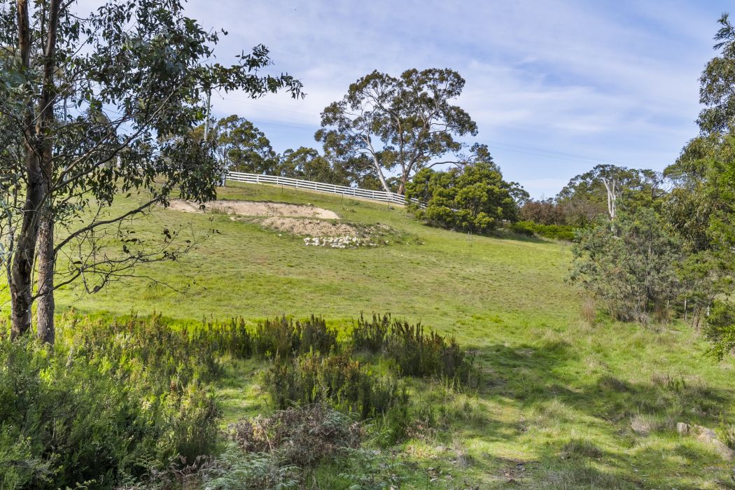 17 Topley Drive, Forcett, TAS, 7173