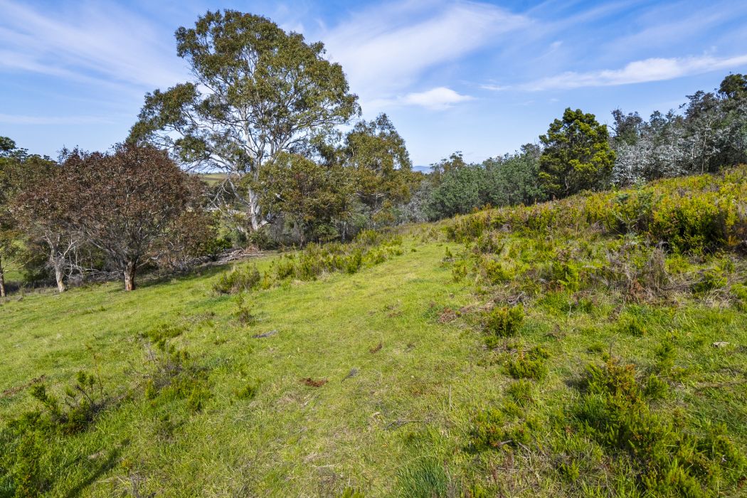 17 Topley Drive, Forcett, TAS, 7173