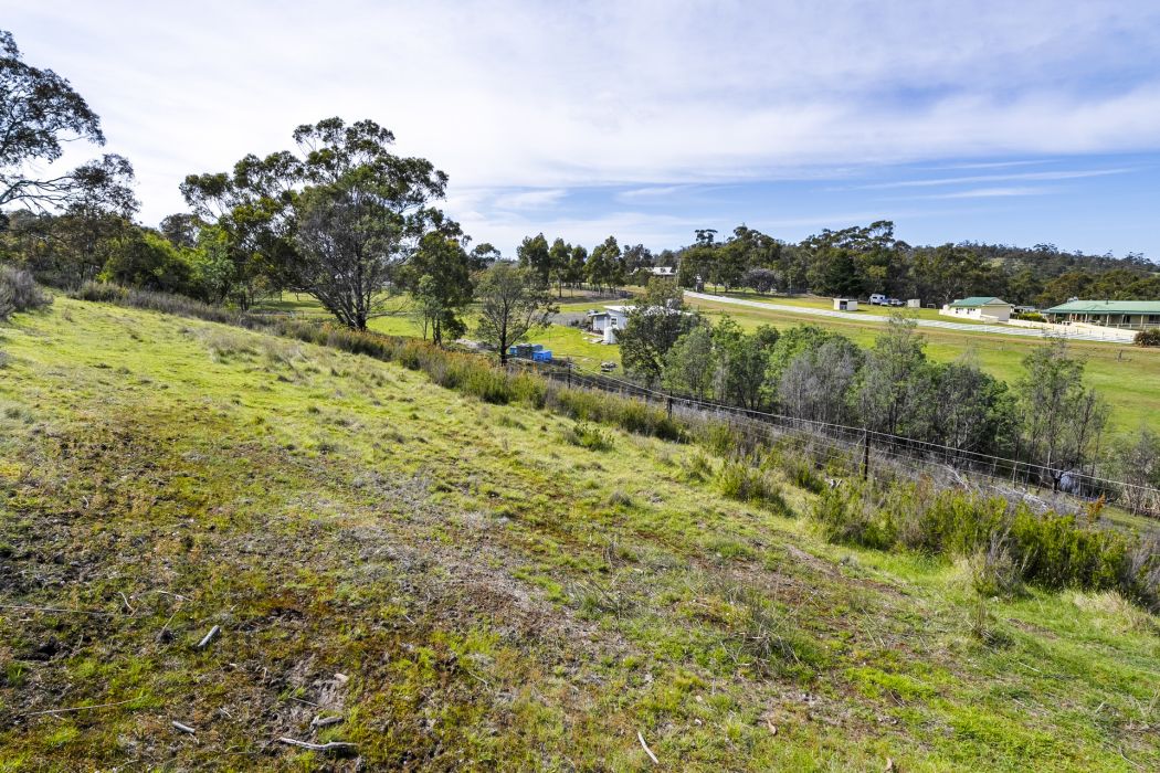 17 Topley Drive, Forcett, TAS, 7173