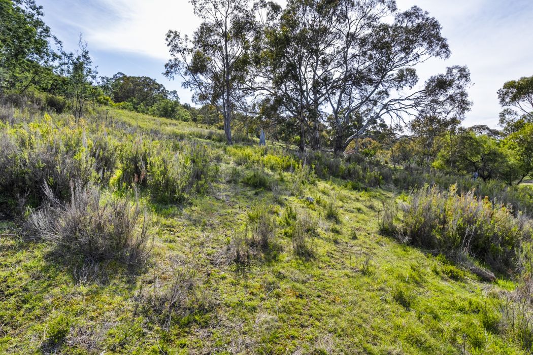 17 Topley Drive, Forcett, TAS, 7173