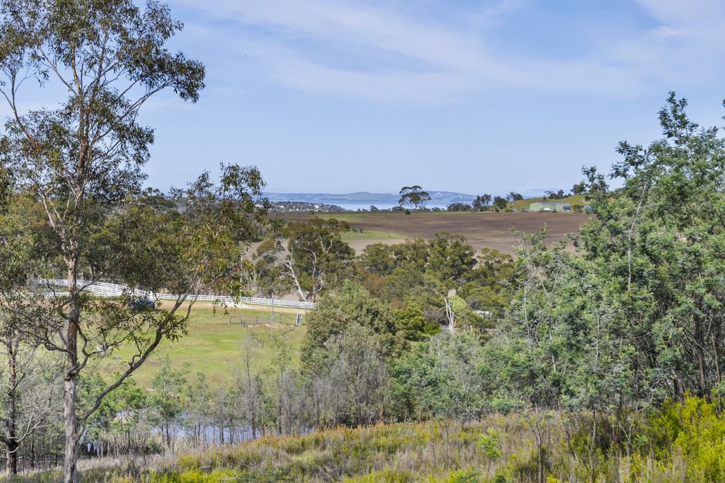 17 Topley Drive, Forcett, TAS, 7173