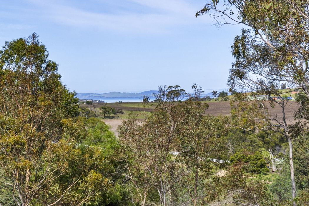 17 Topley Drive, Forcett, TAS, 7173