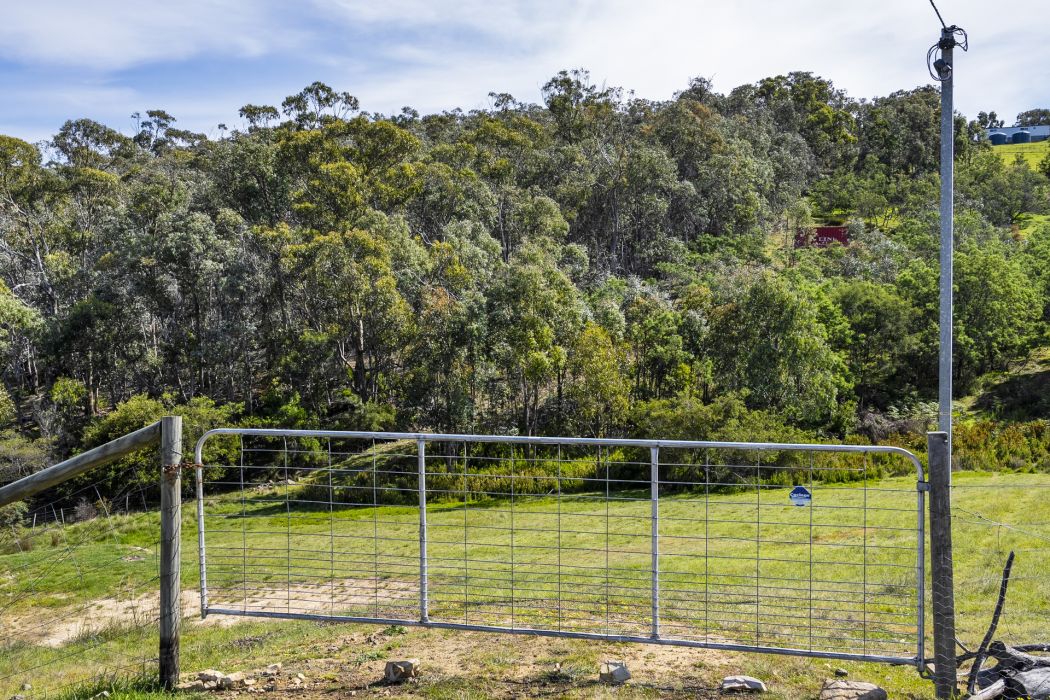 17 Topley Drive, Forcett, TAS, 7173