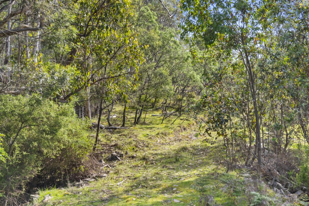 17 Topley Drive, Forcett, TAS, 7173