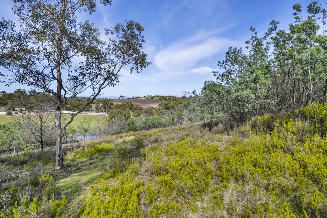 17 Topley Drive, Forcett, TAS, 7173