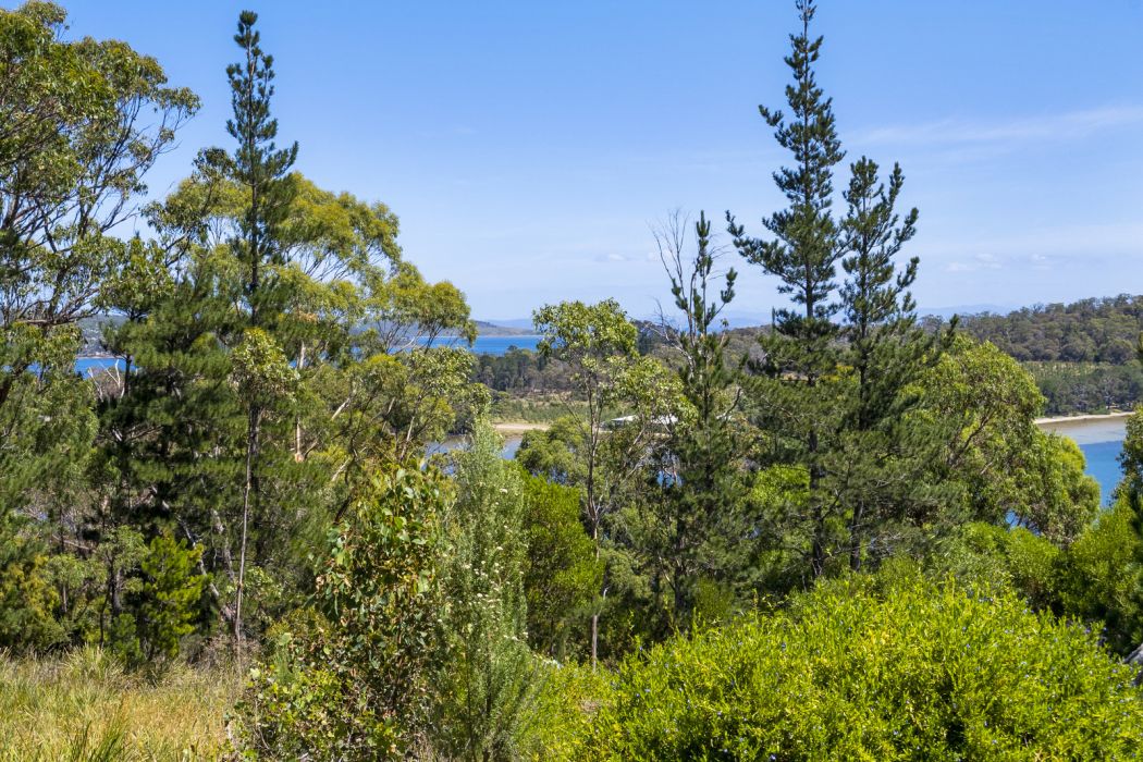 10 Turvey Ave , Nubeena, TAS, 7184