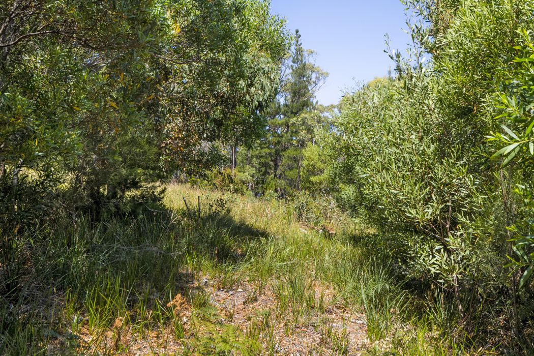 10 Turvey Ave , Nubeena, TAS, 7184