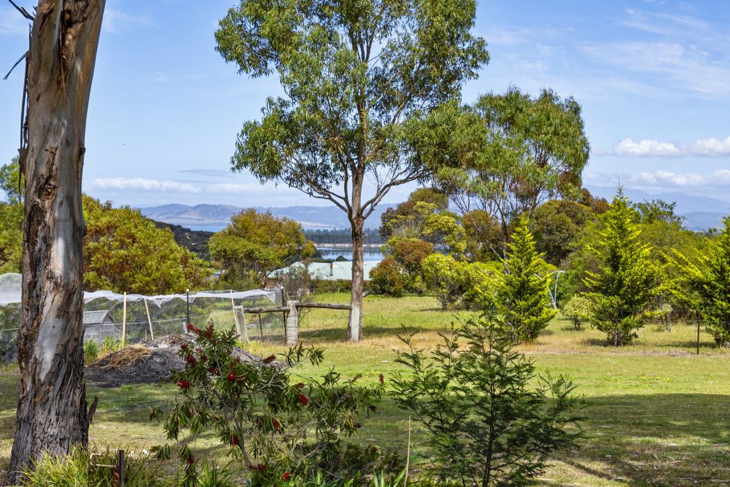 146 Old Forcett Road, Forcett, TAS, 7173