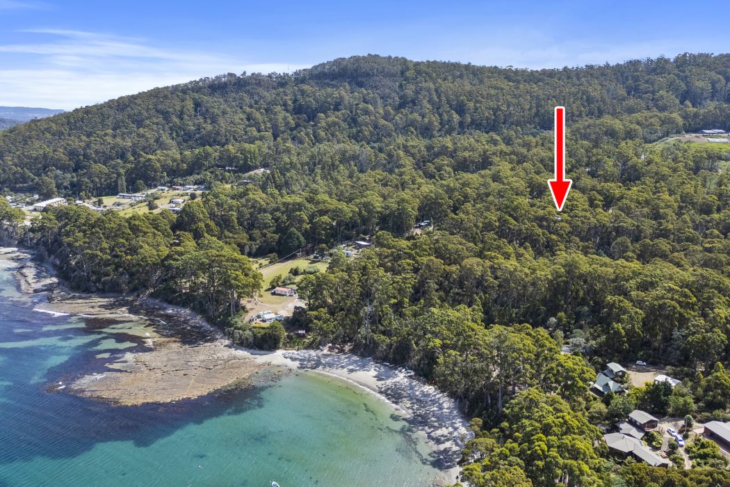 321 Pirates Bay Drive, Eaglehawk Neck, TAS, 7179
