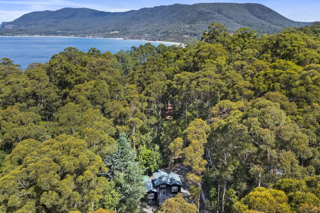 321 Pirates Bay Drive, Eaglehawk Neck, TAS, 7179