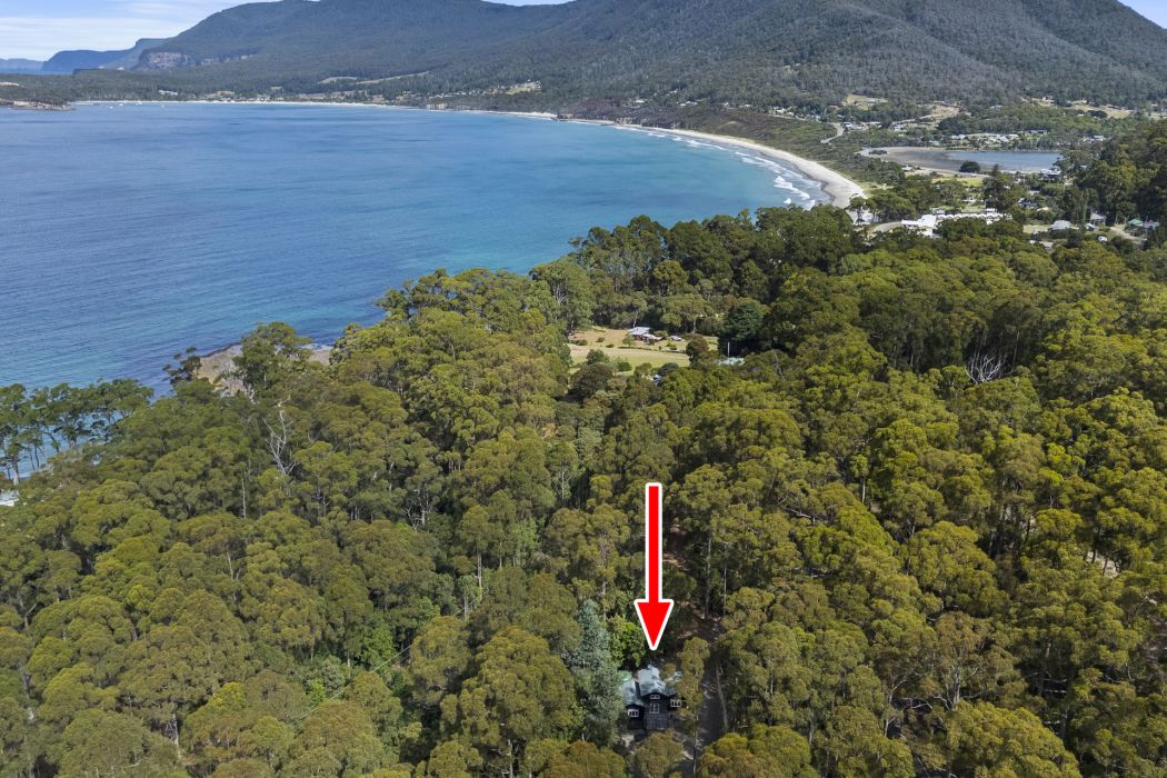 321 Pirates Bay Drive, Eaglehawk Neck, TAS, 7179