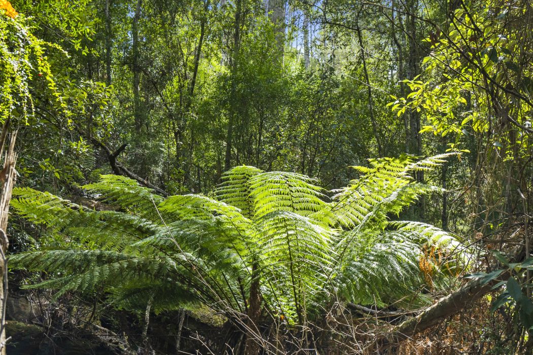 321 Pirates Bay Drive, Eaglehawk Neck, TAS, 7179