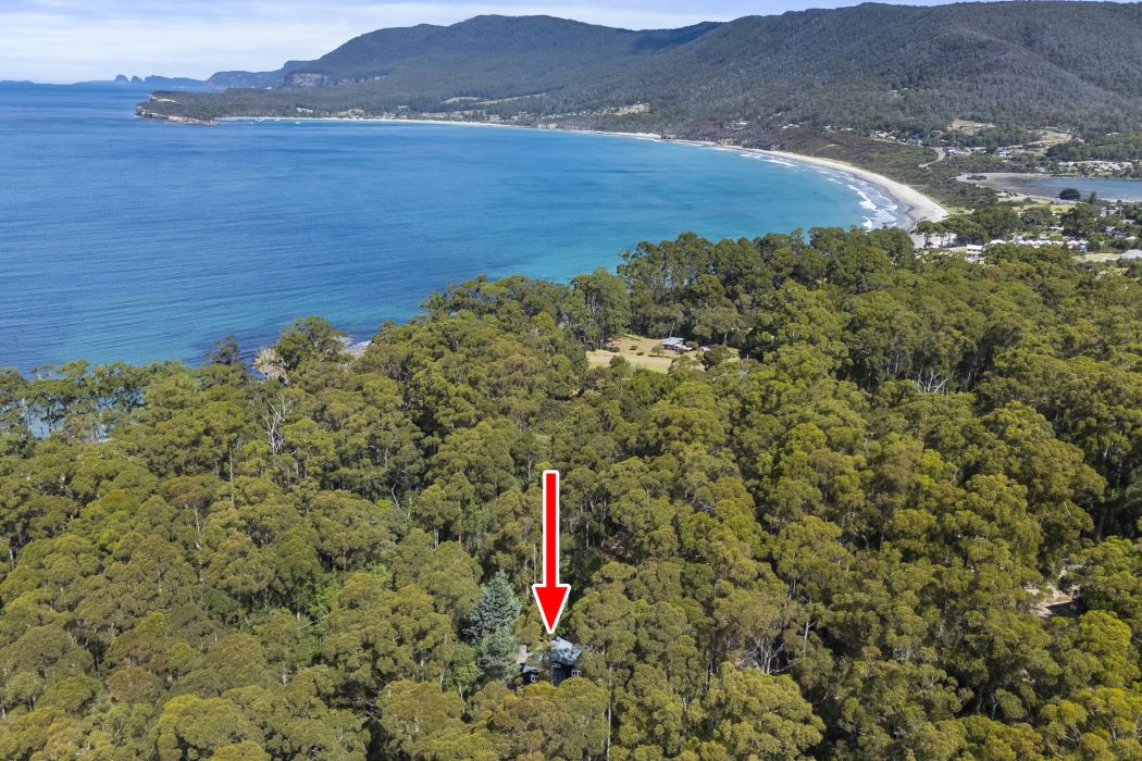 321 Pirates Bay Drive, Eaglehawk Neck, TAS, 7179