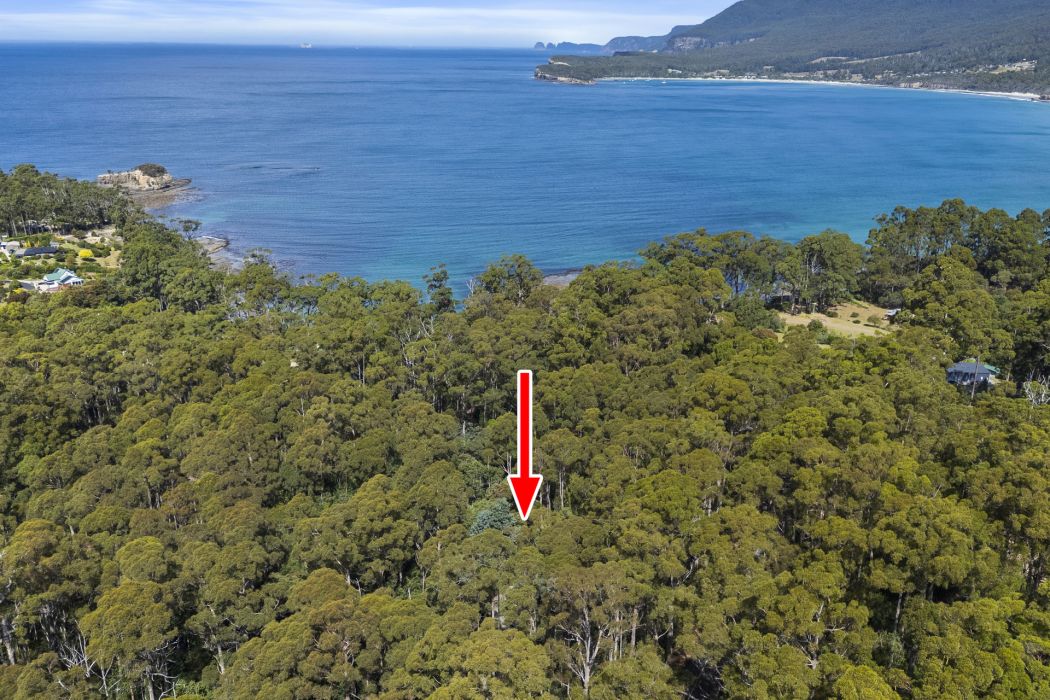 321 Pirates Bay Drive, Eaglehawk Neck, TAS, 7179