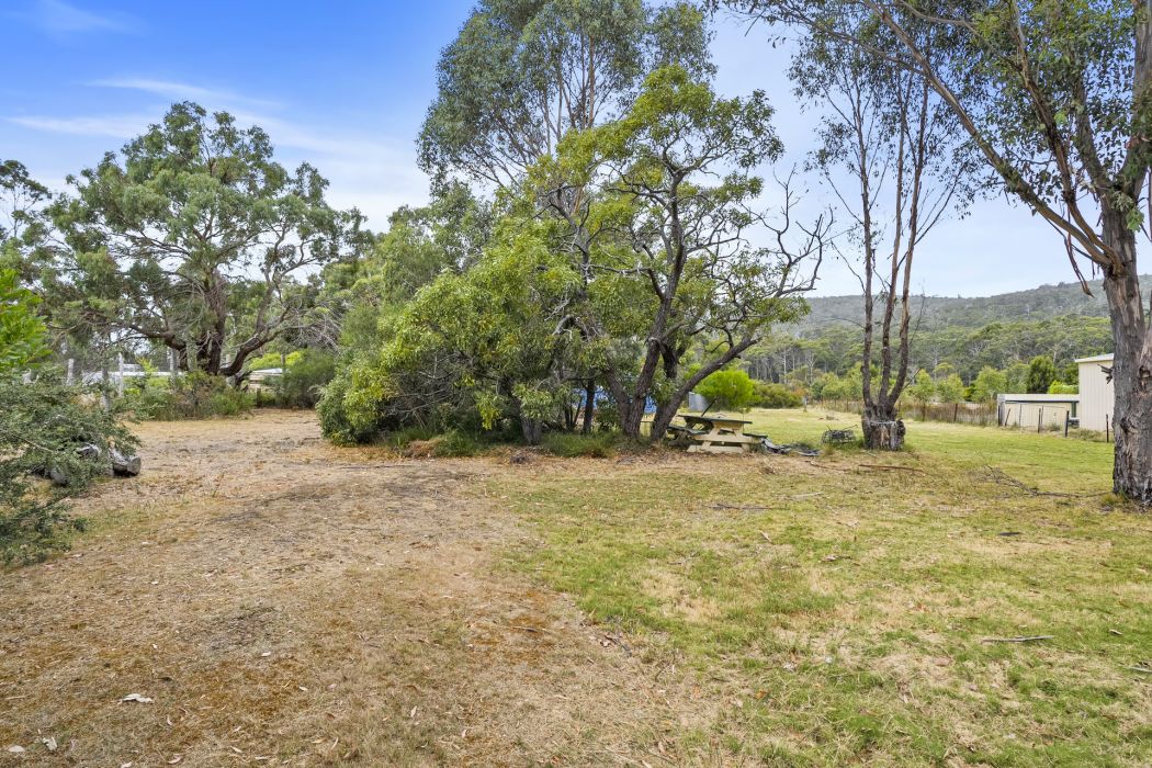 355 White Beach Road, White Beach, TAS, 7184