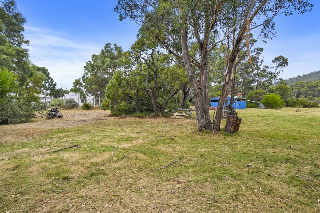 355 White Beach Road, White Beach, TAS, 7184