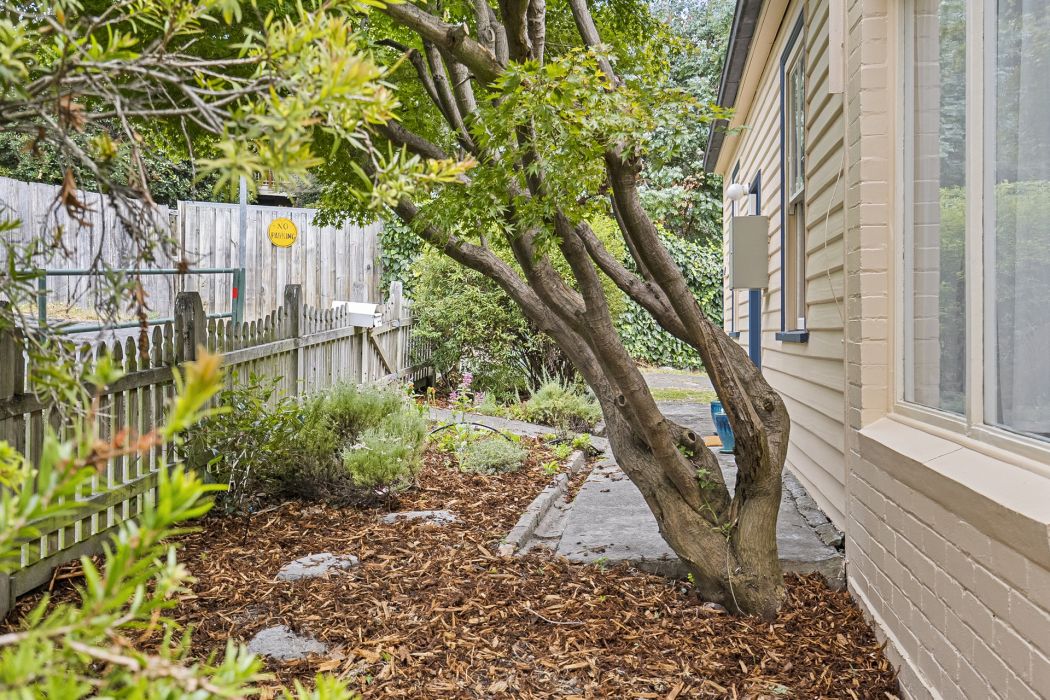 5 Amelia Street, West Hobart, TAS, 7000