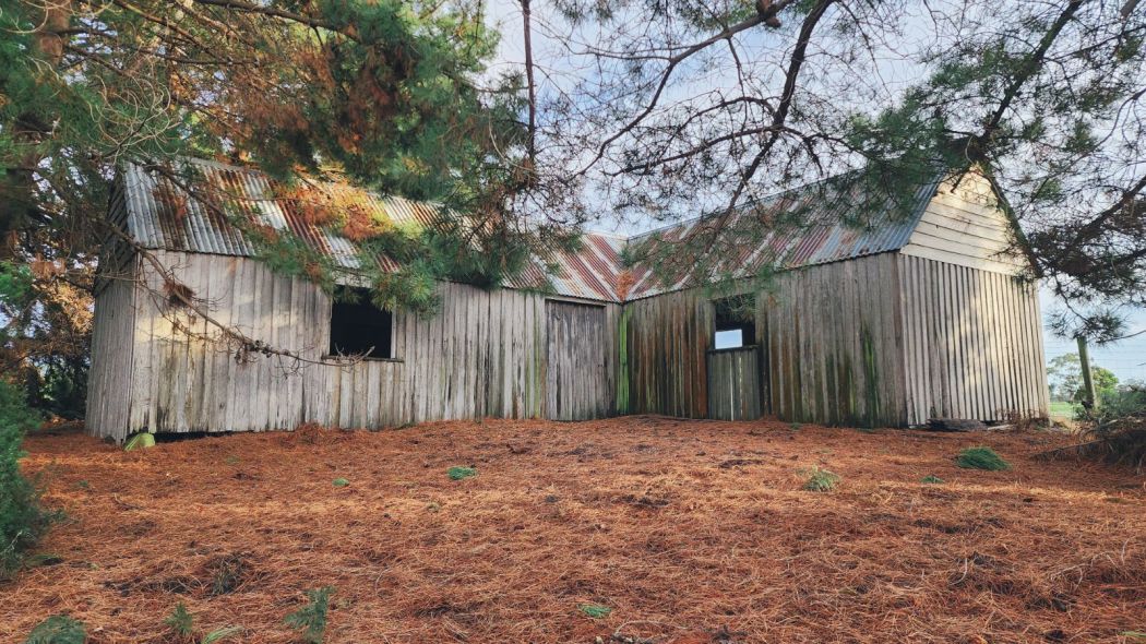 540 Stormlea Road, Stormlea, TAS, 7184