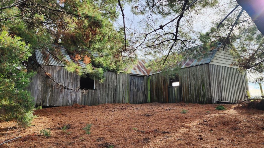 540 Stormlea Road, Stormlea, TAS, 7184