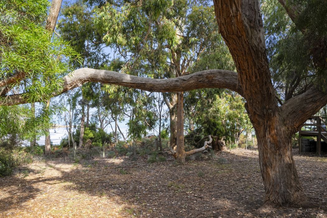 122 Coal Mine Road, Saltwater River, TAS, 7186