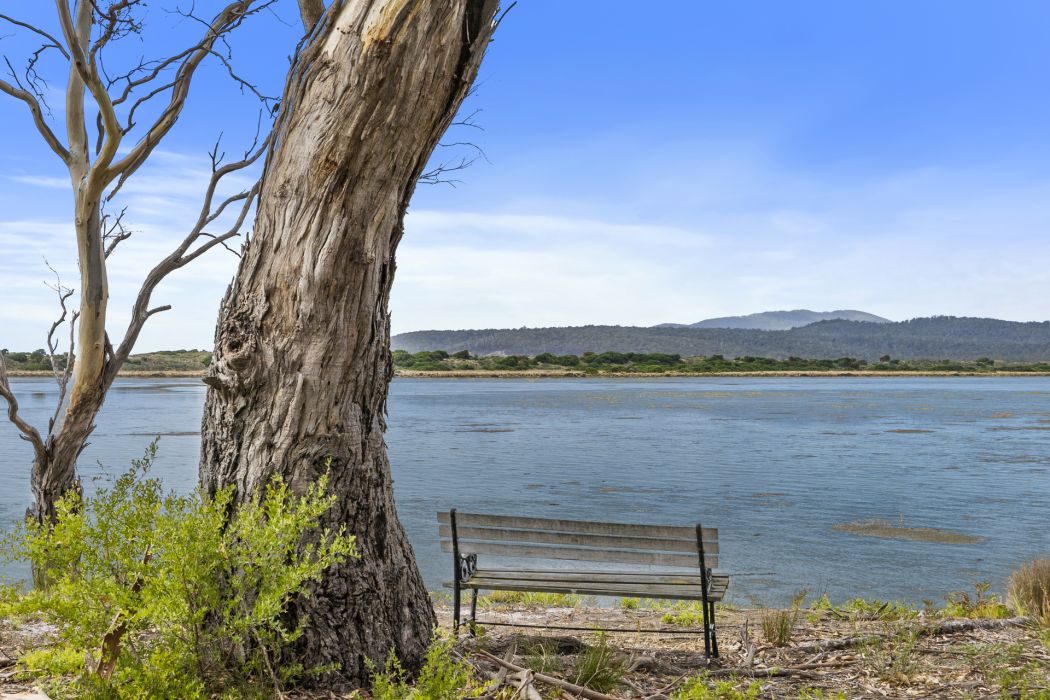 698 Bay Road, Marion Bay, TAS, 7175