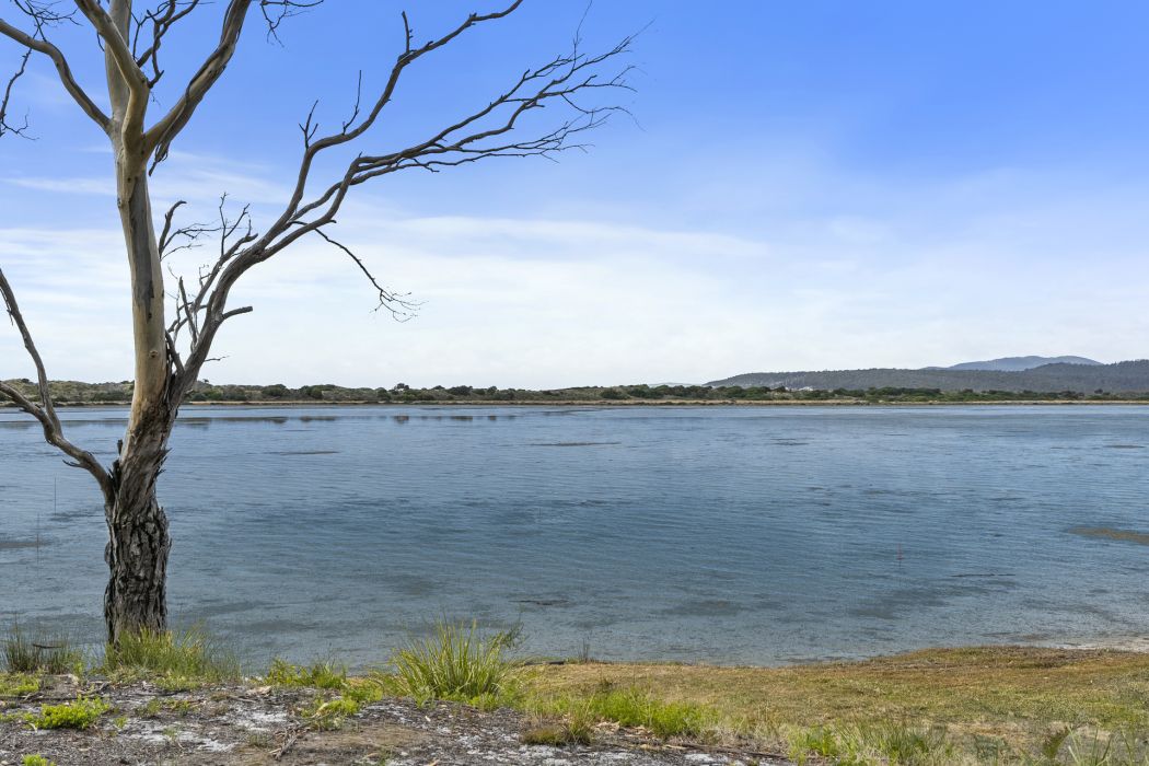 698 Bay Road, Marion Bay, TAS, 7175