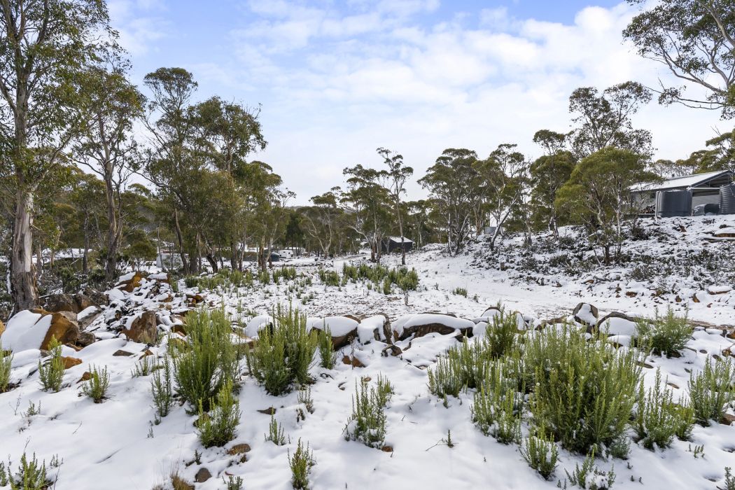 7 Little Dog Court, Miena, TAS, 7030