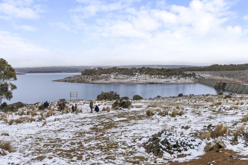 7 Little Dog Court, Miena, TAS, 7030