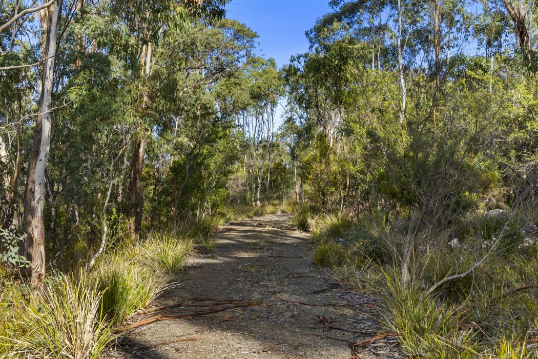 573 White Beach Road, White Beach, TAS, 7184