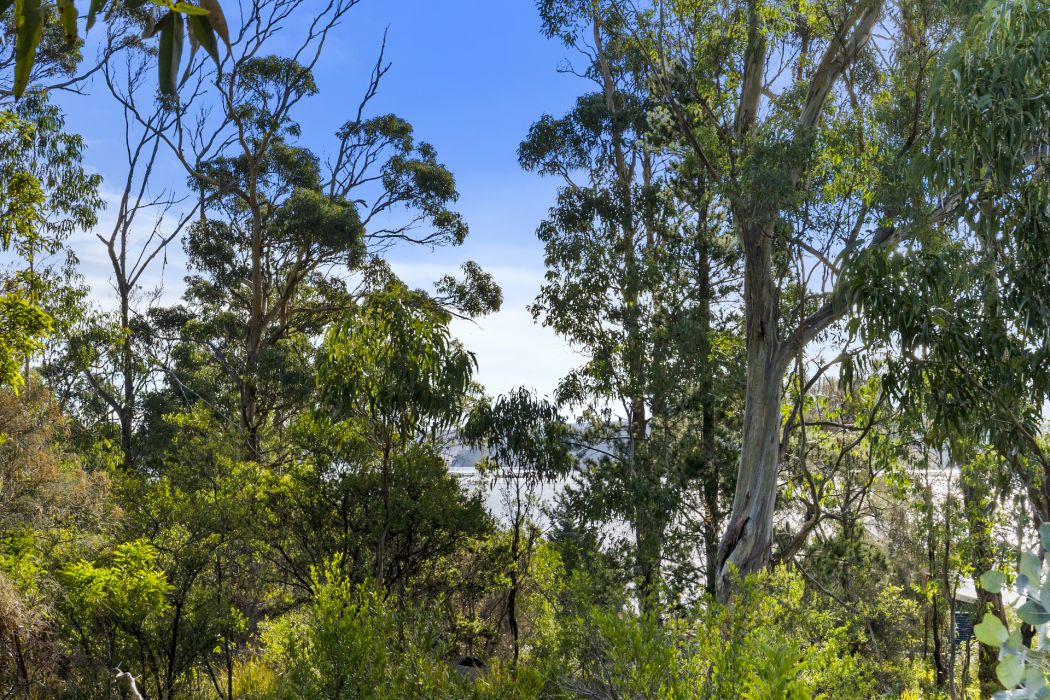 573 White Beach Road, White Beach, TAS, 7184