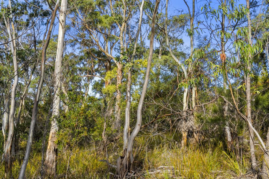 573 White Beach Road, White Beach, TAS, 7184