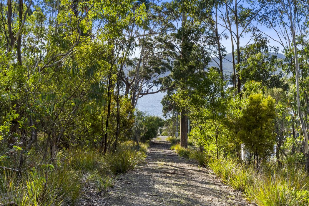 573 White Beach Road, White Beach, TAS, 7184