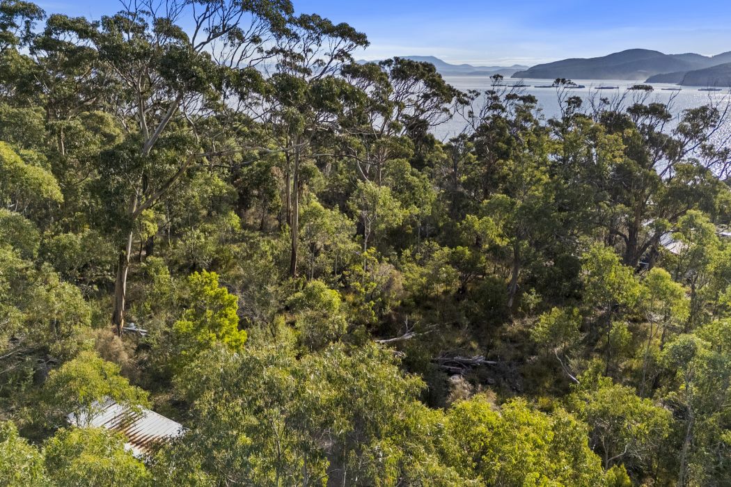 573 White Beach Road, White Beach, TAS, 7184
