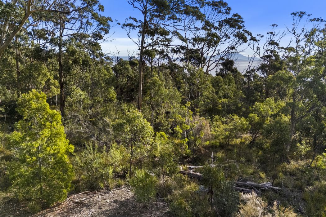 573 White Beach Road, White Beach, TAS, 7184