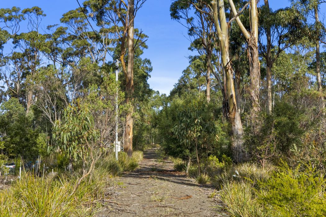 573 White Beach Road, White Beach, TAS, 7184