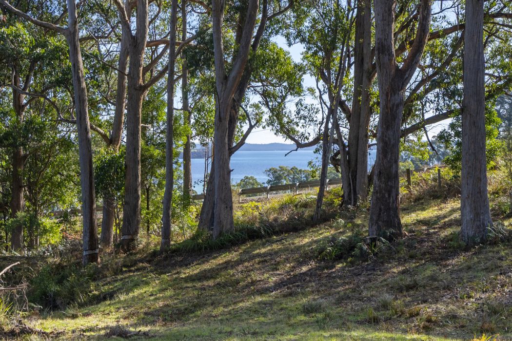 60 Coolstore Road, Premaydena, TAS, 7185