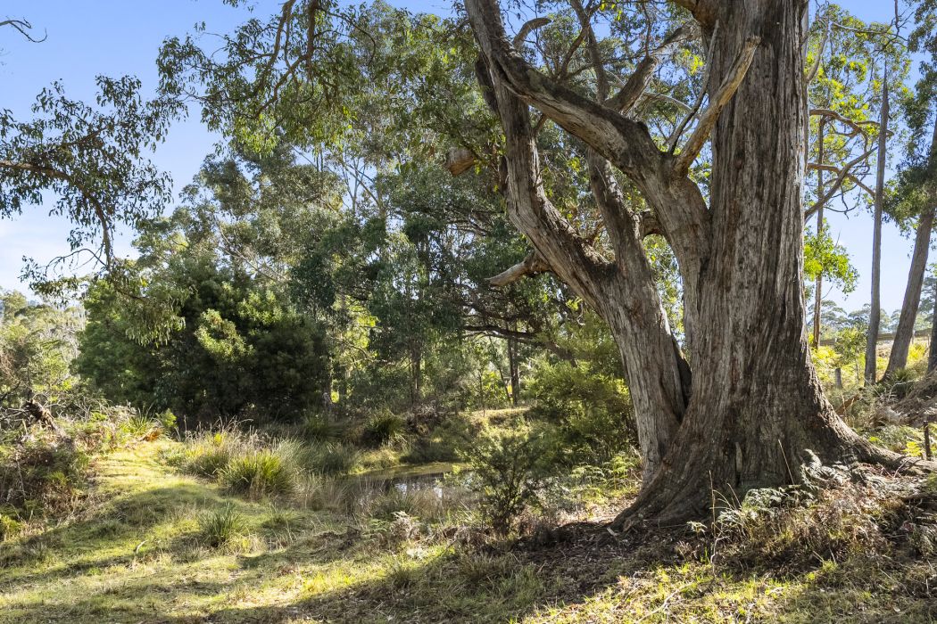 60 Coolstore Road, Premaydena, TAS, 7185