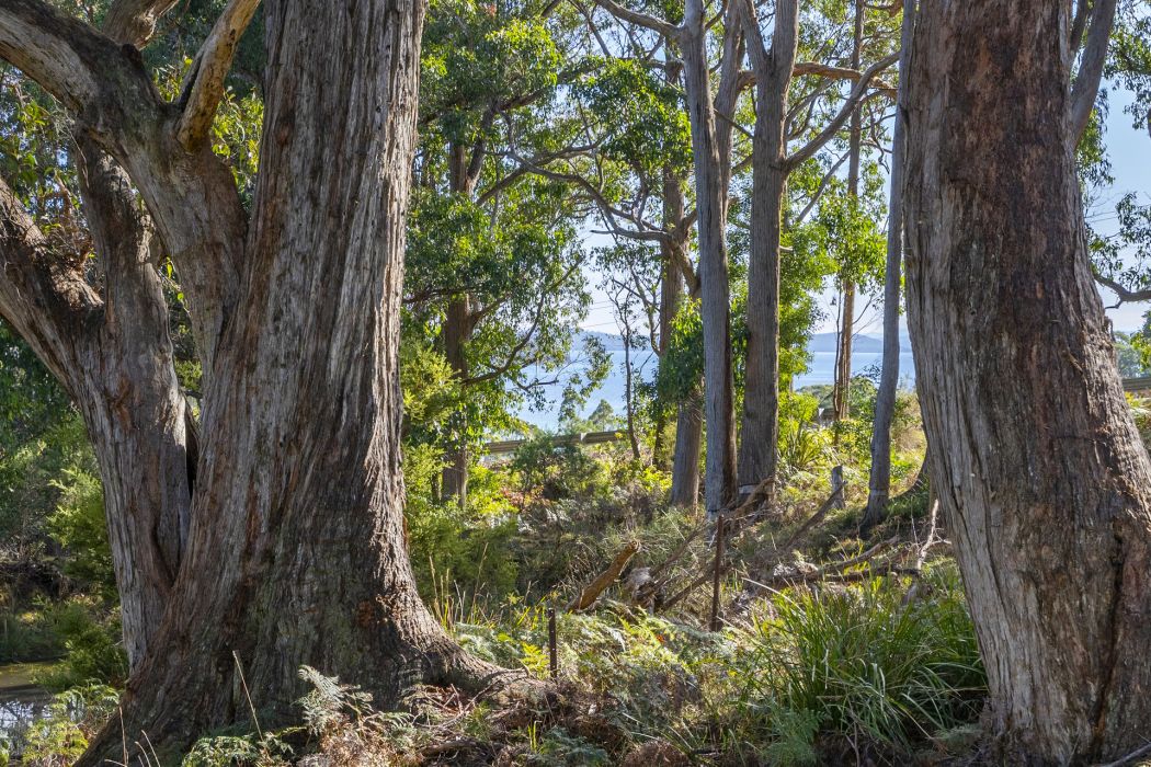 60 Coolstore Road, Premaydena, TAS, 7185