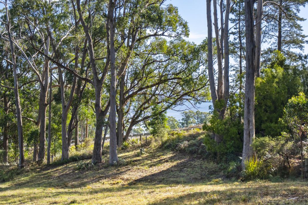 60 Coolstore Road, Premaydena, TAS, 7185
